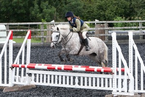 Class 6 - Fences not above 2'9